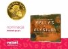 Terraformacja Marsa: Hellas i Elysium